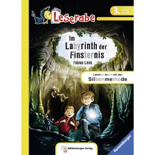 Im Labyrinth der Finsternis, Leserabe (Deutsch) Taschenbuch