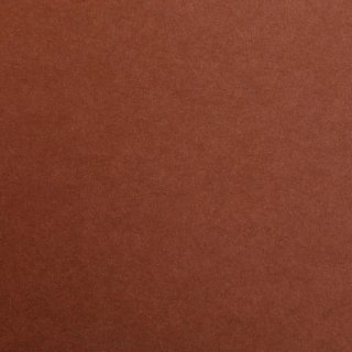 Clairefontaine 97361C Packung (mit 25 Bögen Zeichenpapier Maya, DIN A4, 21 x 29,7 cm, 120g, glatt, ideal für Trockentechnik und Einrahmen) dunkelbraun