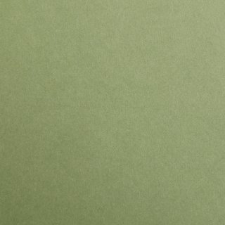Clairefontaine 97370C Packung (mit 25 Bögen Zeichenpapier Maya, DIN A4, 21 x 29,7 cm, 120g, glatt, ideal für Trockentechnik und Einrahmen) laubgrün