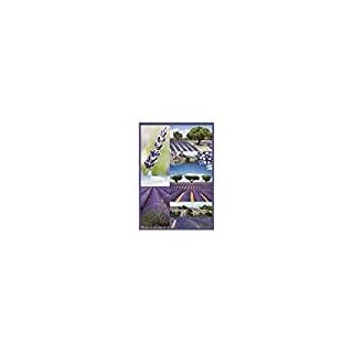 HERMA Sticker DECOR "Lavendelfelder" VE = 1